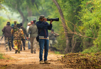 Bharatpur Bird Sanctuary A Perfect Weekend Getaway